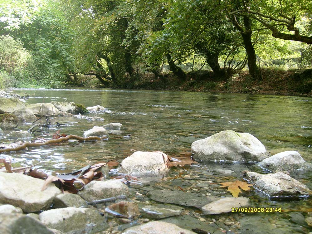 Parapotamia1